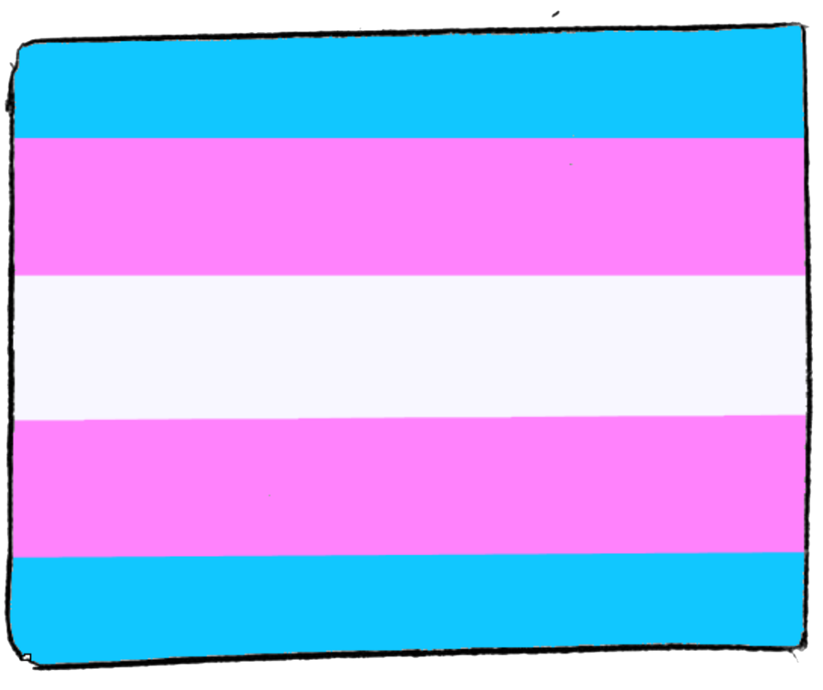Changing Laws Around Transgender Female Athletes
