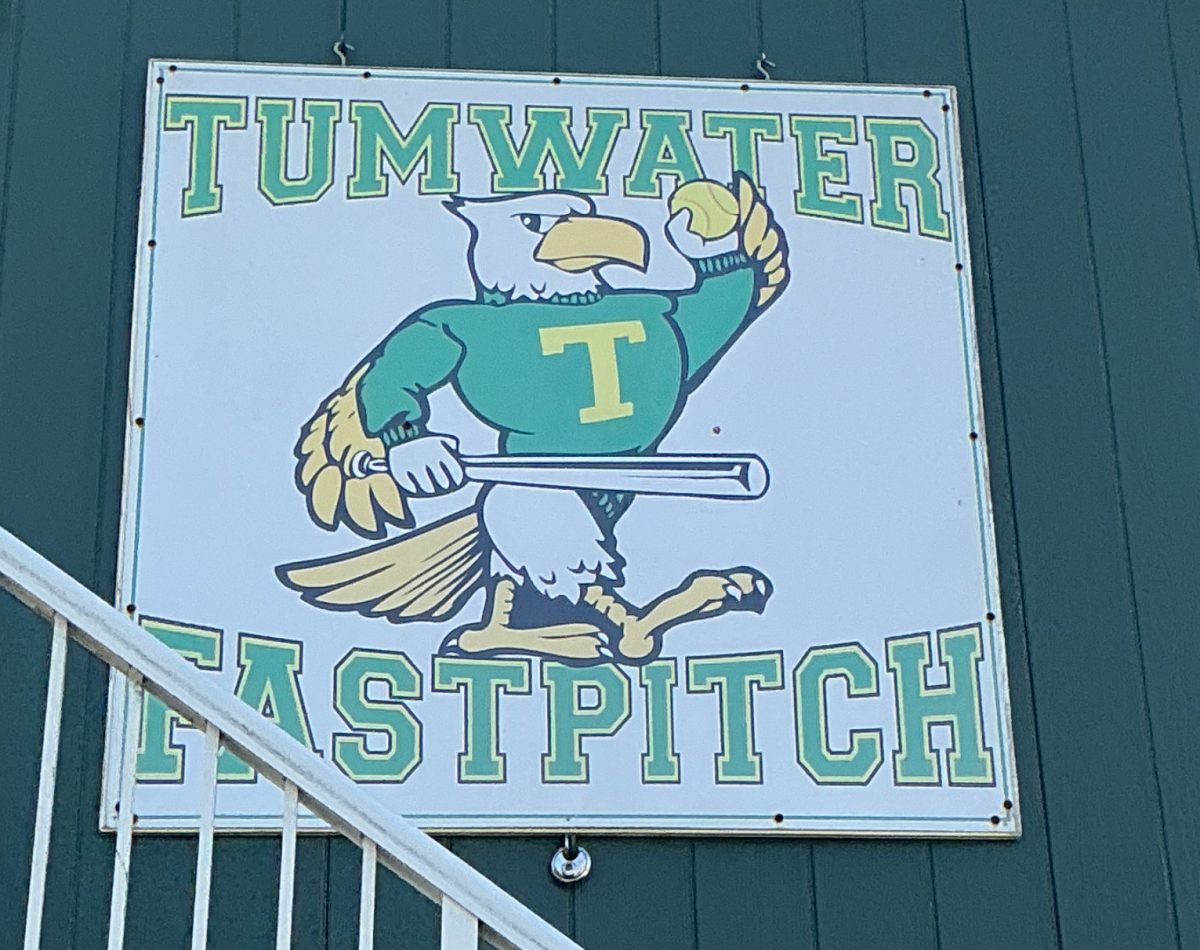 Picture of the T-bird Fast pitch sign
