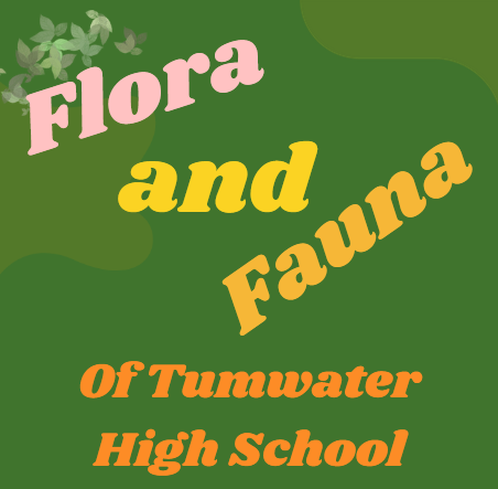 Tumwater High School's Flora and Fauna