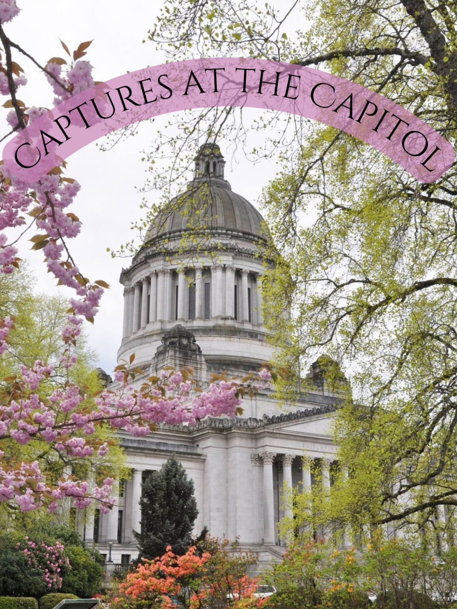 Captures at the Capitol
