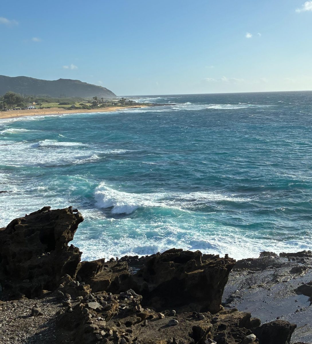 A Trip To Hawaii