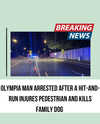 Olympia Man Arrested After A Hit-and-Run Injures Pedestrian And Kills Family Dog
