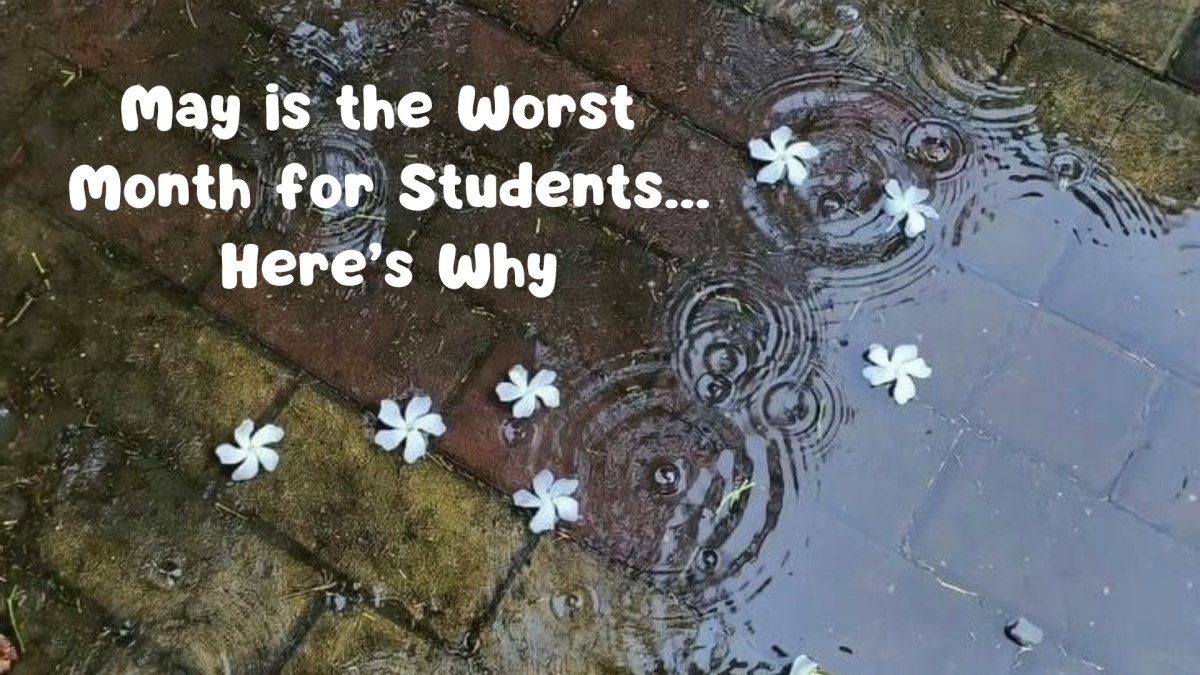The Academic Hunger Games